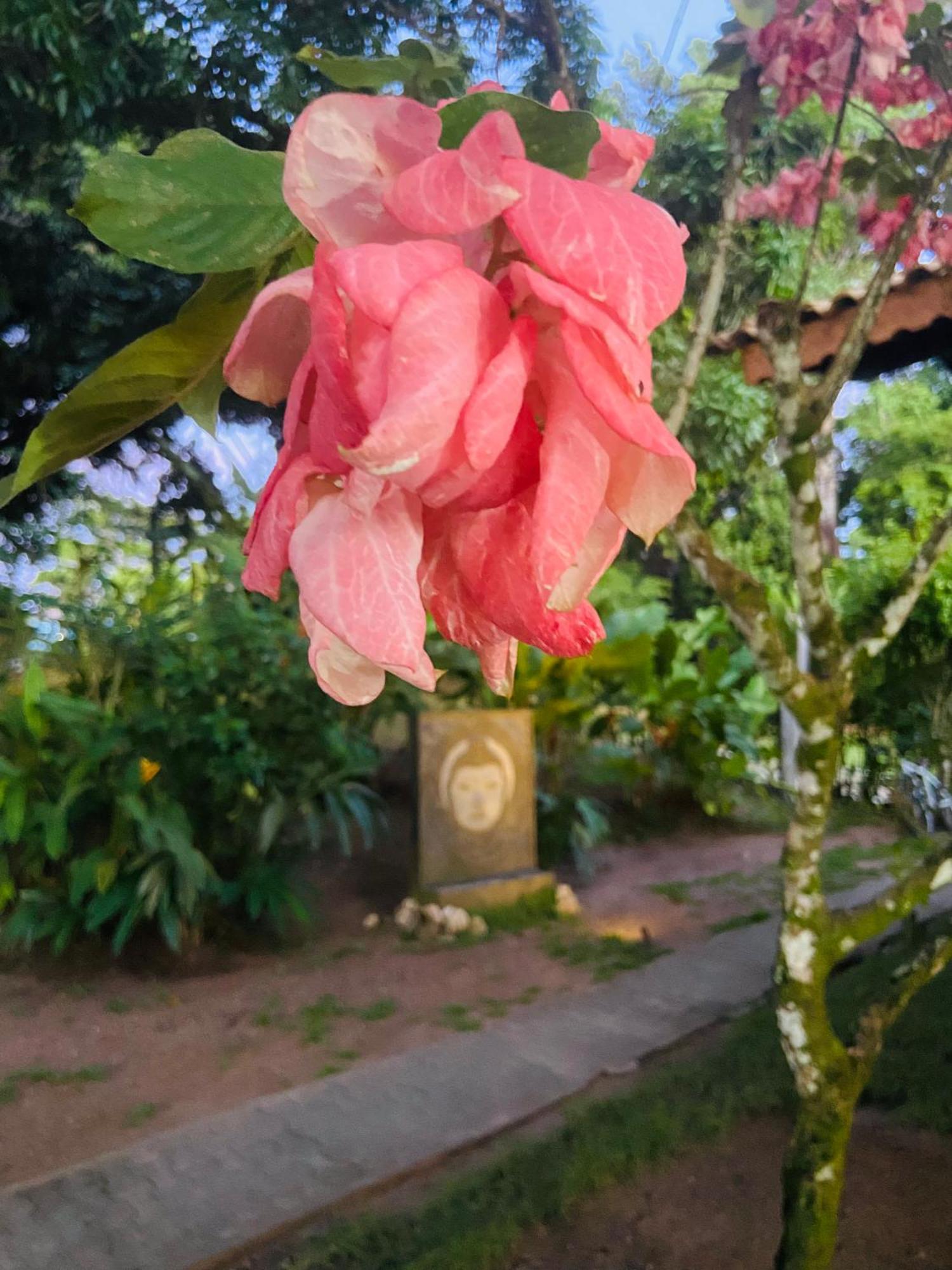 Pousada Coco Dende Velha Boipeba 외부 사진